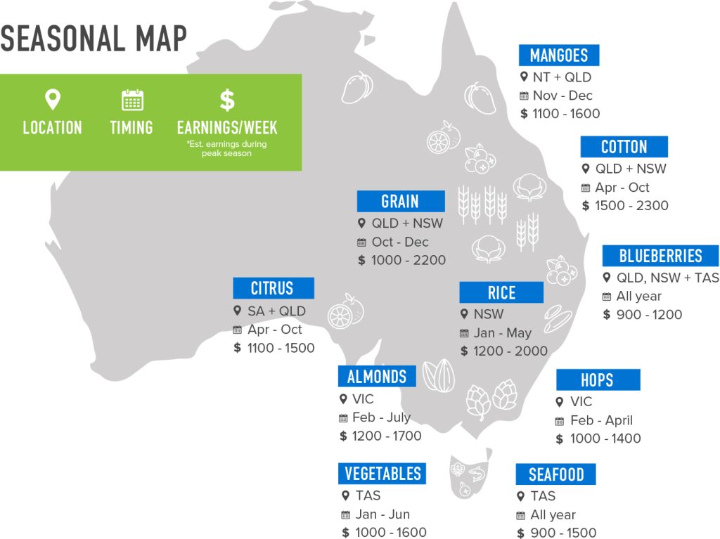 Working Holiday Visa