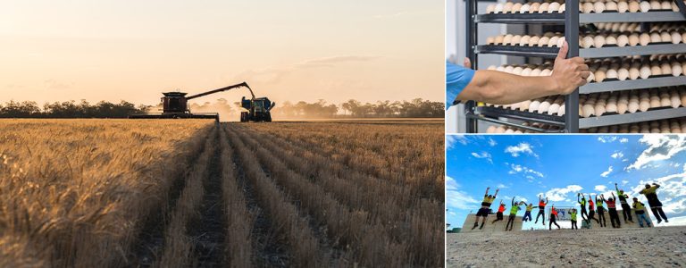 farm-work-in-australia-how-to-get-it-and-what-to-expect