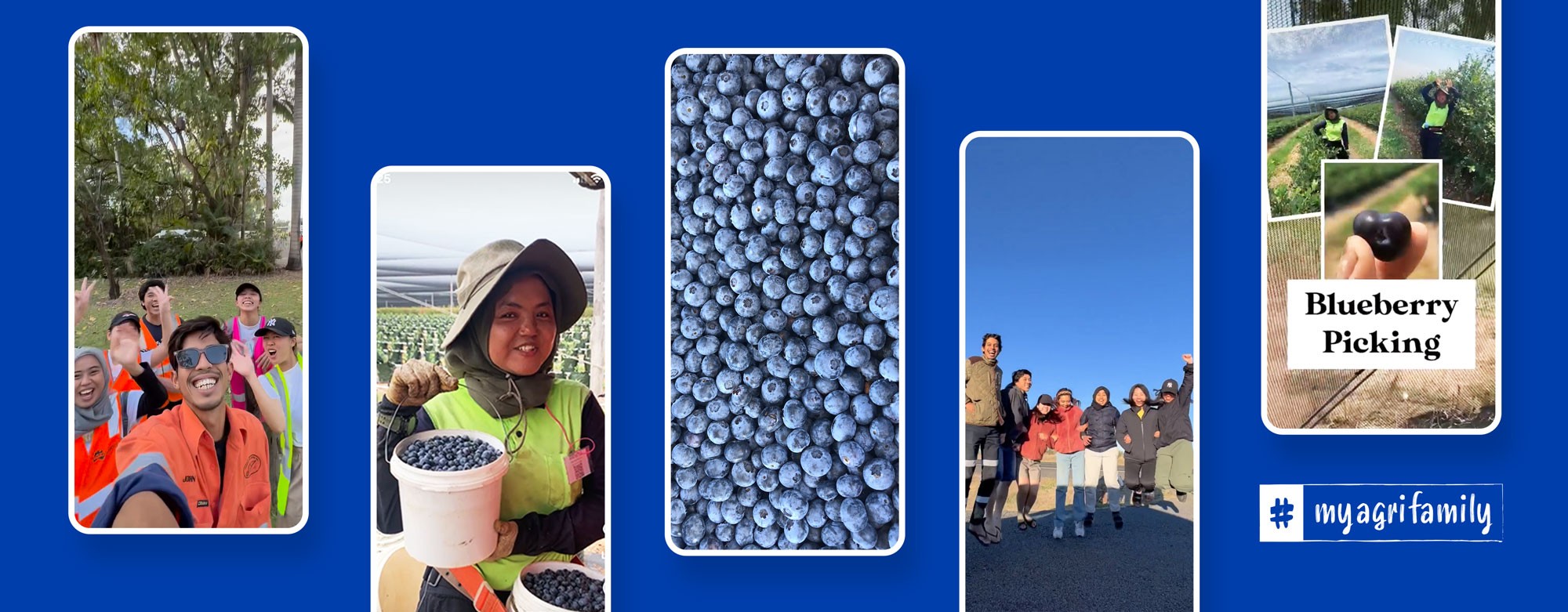 Calling all blueberry harvest candidates – enter to WIN!